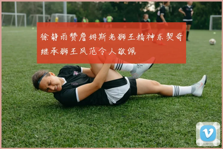 徐静雨赞詹姆斯老狮王精神东契奇继承狮王风范令人敬佩